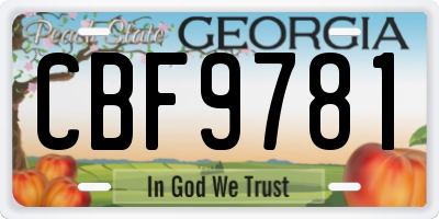 GA license plate CBF9781