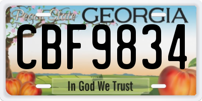 GA license plate CBF9834