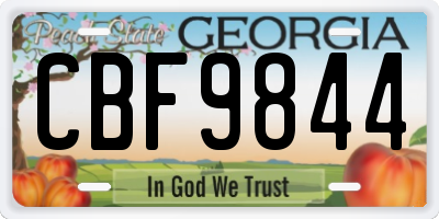 GA license plate CBF9844