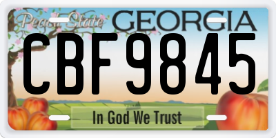 GA license plate CBF9845