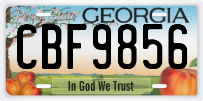 GA license plate CBF9856