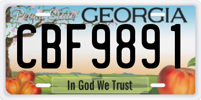 GA license plate CBF9891