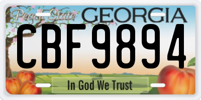 GA license plate CBF9894