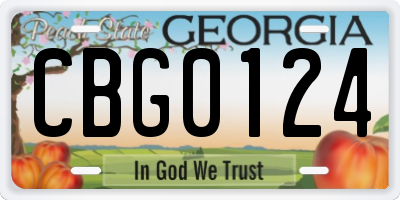 GA license plate CBG0124