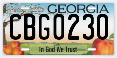 GA license plate CBG0230