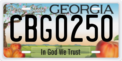 GA license plate CBG0250