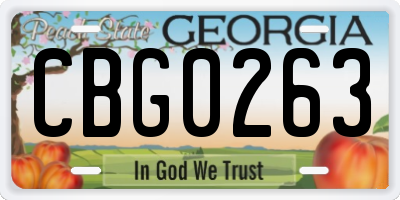 GA license plate CBG0263