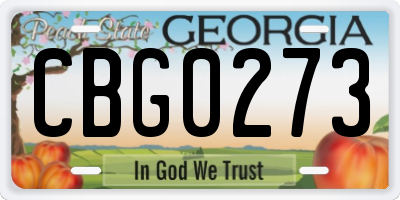 GA license plate CBG0273
