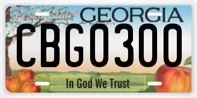 GA license plate CBG0300