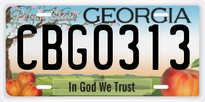 GA license plate CBG0313