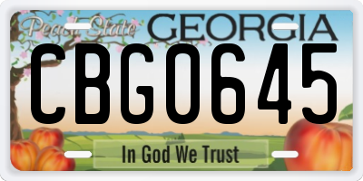 GA license plate CBG0645