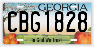 GA license plate CBG1828