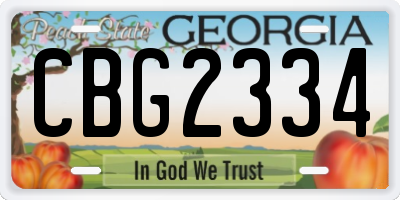 GA license plate CBG2334