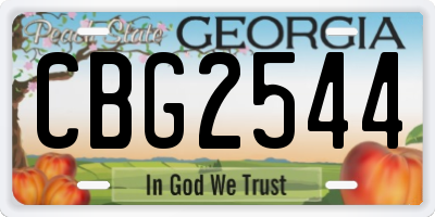 GA license plate CBG2544