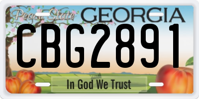 GA license plate CBG2891