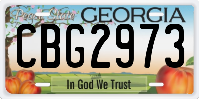 GA license plate CBG2973