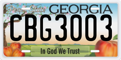 GA license plate CBG3003