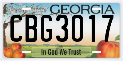 GA license plate CBG3017