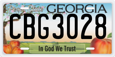 GA license plate CBG3028
