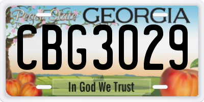 GA license plate CBG3029