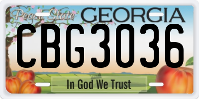 GA license plate CBG3036