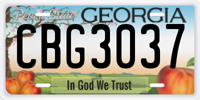 GA license plate CBG3037
