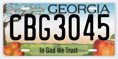 GA license plate CBG3045