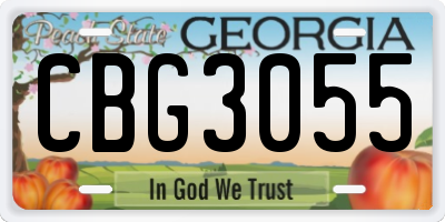 GA license plate CBG3055