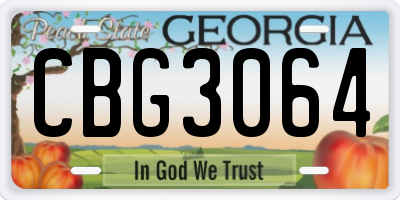 GA license plate CBG3064