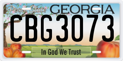 GA license plate CBG3073
