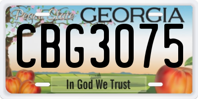 GA license plate CBG3075