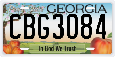 GA license plate CBG3084