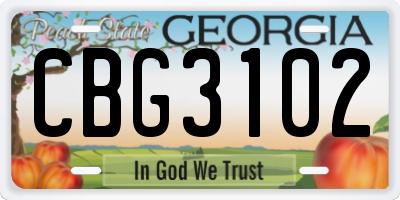 GA license plate CBG3102
