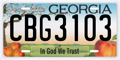GA license plate CBG3103