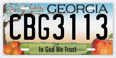 GA license plate CBG3113