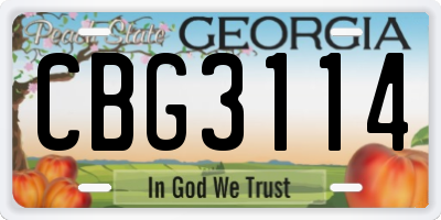 GA license plate CBG3114