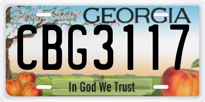GA license plate CBG3117