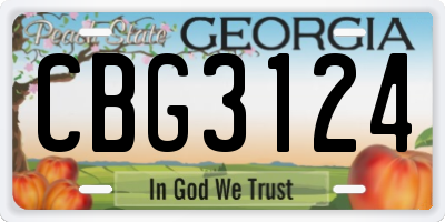 GA license plate CBG3124