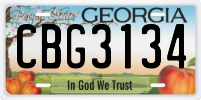 GA license plate CBG3134