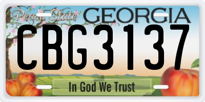 GA license plate CBG3137