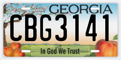 GA license plate CBG3141