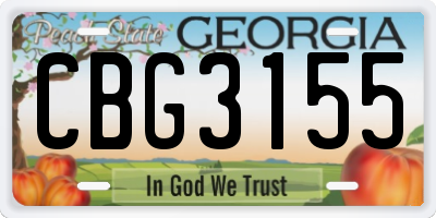 GA license plate CBG3155