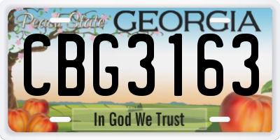 GA license plate CBG3163