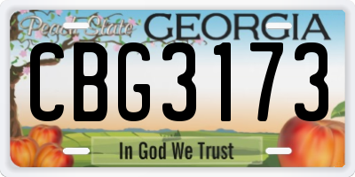 GA license plate CBG3173