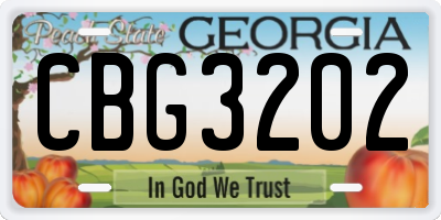 GA license plate CBG3202