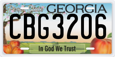 GA license plate CBG3206