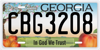 GA license plate CBG3208