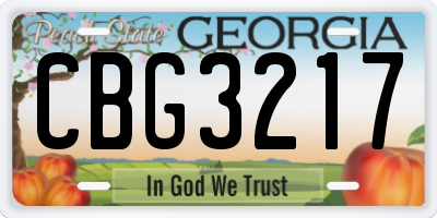 GA license plate CBG3217