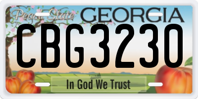 GA license plate CBG3230