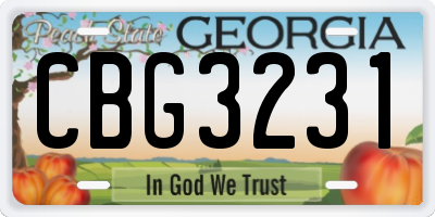 GA license plate CBG3231